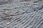 十多亿年前海浪留下的痕迹——波痕：亦在北京