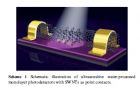 Ultrasensitive water-processed monolayer photodetectors