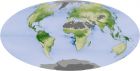 卫星图像: 全球植物碳汇