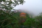 泰山的云雾