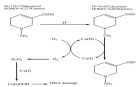 Mechanism of DNA damage induced by arecaidine: The role of C