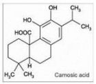 β(Carnosic acid);