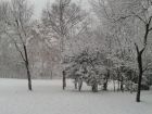 2012年合肥的第一场雪