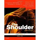 ѧThe shoulder ؽѧ3 쳣