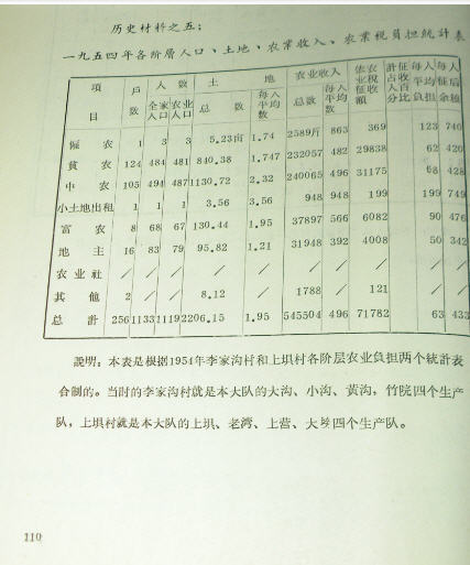复式统计表_农民 收入统计表(2)