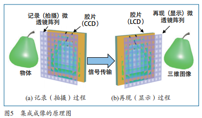 科学网-[转载]裸视三维显示技术