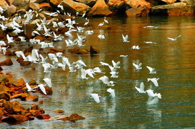 大亚湾核电站_大亚湾核电站收入(3)