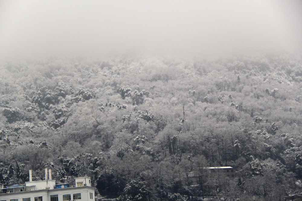 今天下雪了