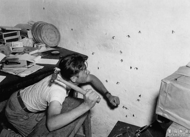 科学网-[转载]珍藏在美国国家档案馆里的中国抗