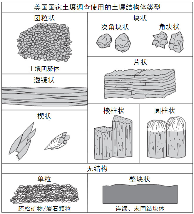 科学网—土壤结构体类型 袁大刚的博文