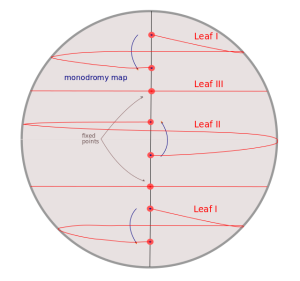 monodromy in the sphere of radius pi+c