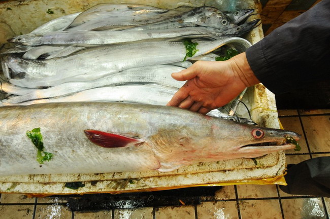 最便宜的鱼_恩平首次出口冻罗非鱼片 预计年出口额可达1.2亿美元