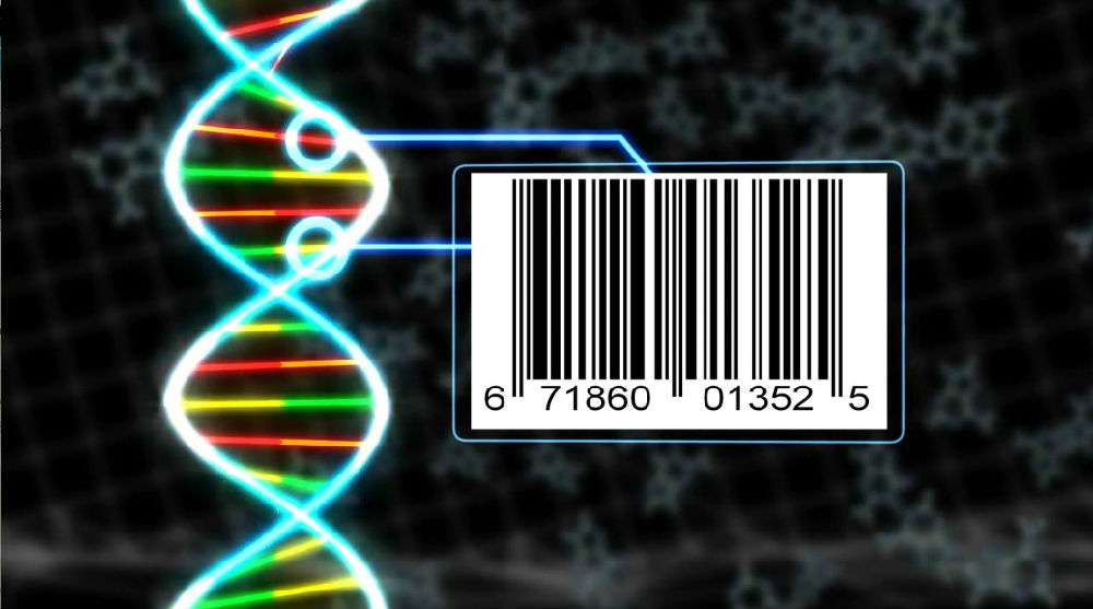 How Does Dna Barcoding Work