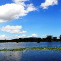 美丽的NAIWASHA湖【肯尼亚2012】