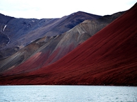 �����ĳ�ڵ����������ò���