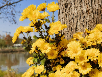 ܽ�ؽ�ն�ܰ��