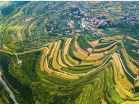 ¤������