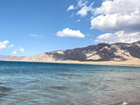 2025����ƽ���ͽ�