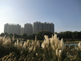 ��έ��â��