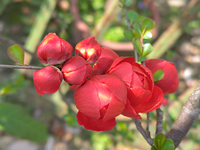 ��ͬ���������