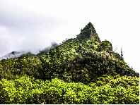 �����Ĵ���