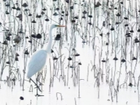 �ж��еĲк�