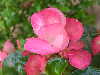 ���ǽ��˽���