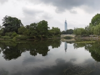 �Ͼ�������޾�