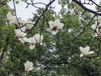 ���̴��������