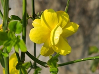 ƫ���紺���� Ӧڽ�ڷ���