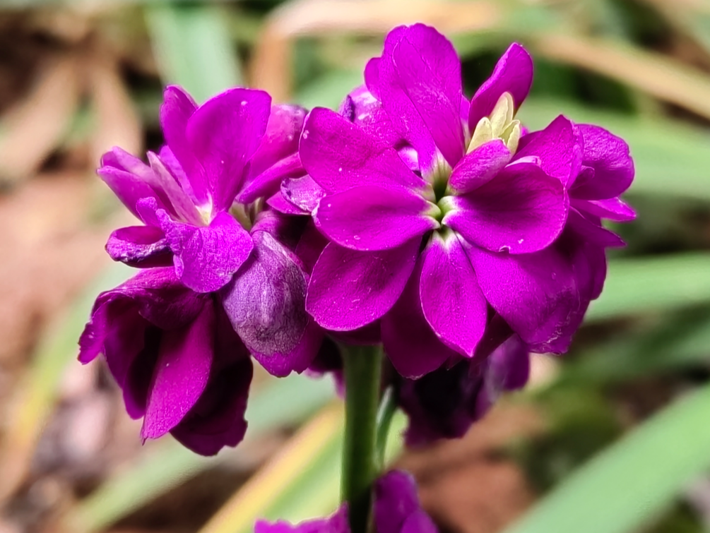 �Ұ��˻������䣬һ������������