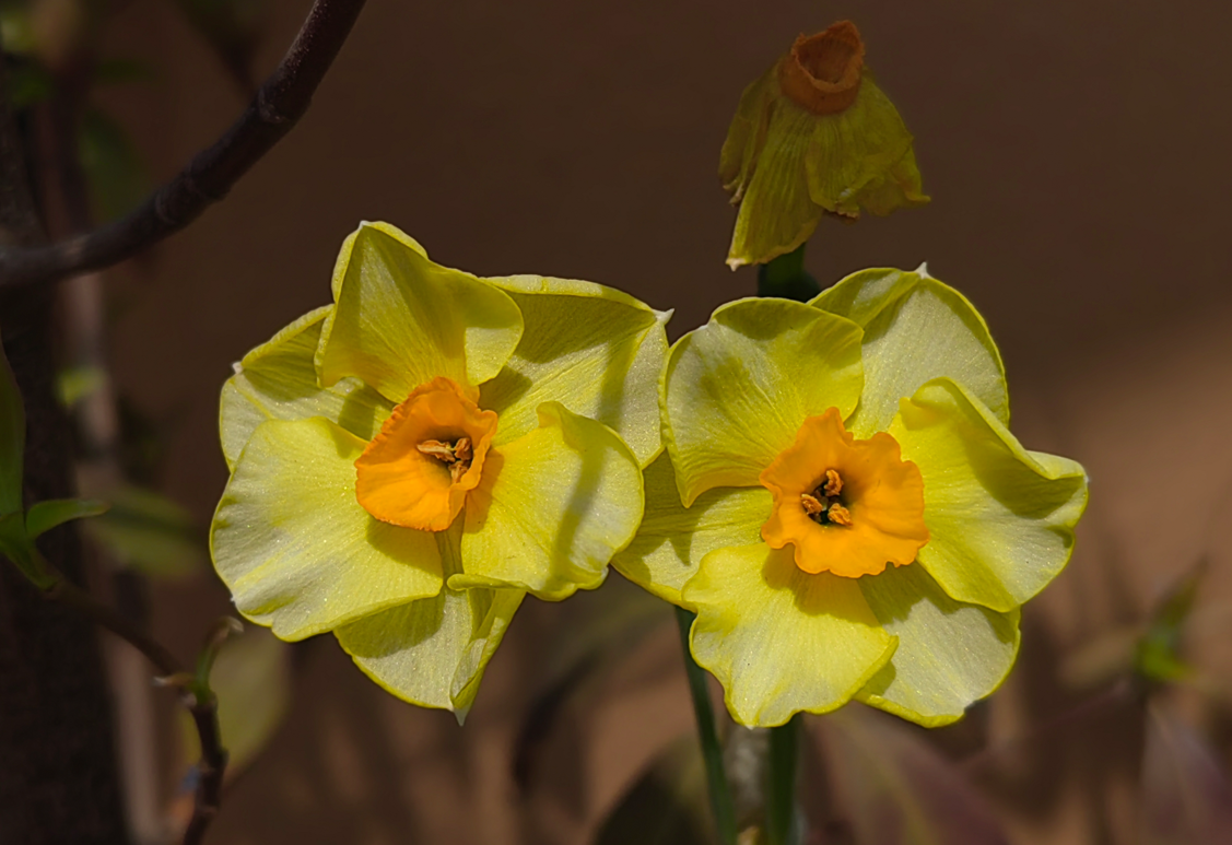 һ����Ըһʱ��