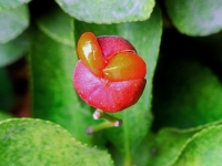 ������ì�ļ���