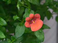 ����ңӭ�������չ���ů����