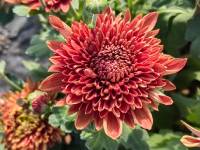 ��˷�����������ϰ�С��