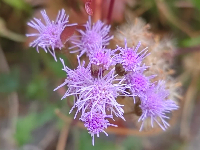 ������������ܽ��ʼ����