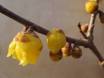 ���д��ѧ�����͵ĺô�