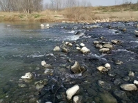 ���³�����μ�ӱ�����