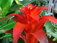 ����ҹ�Ż�ǧ���������䡢������