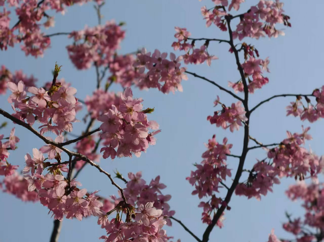 �人��ѧ����ӣ