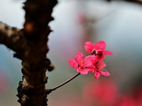 ���ϴ�����һ�