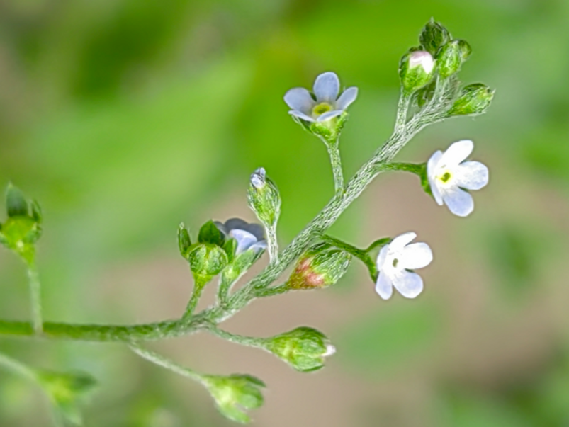 ���ķ���������