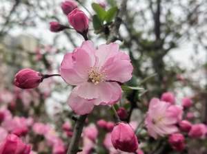 ��˿���һ��⣬˭��ȫ������