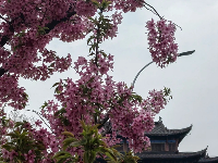 ̤��ӣ���ڼ���