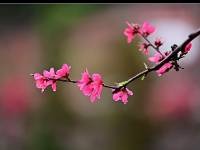 ����С���е��һ�