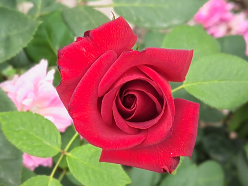 ���˽�̬����ӯ