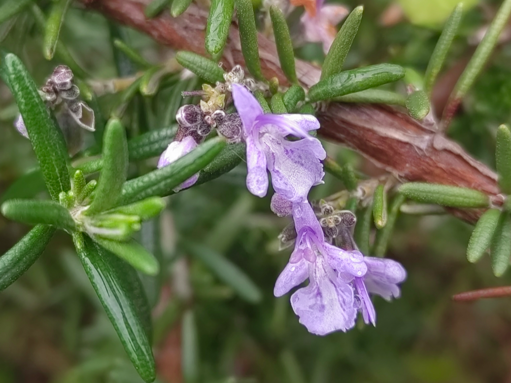 ��Ȼ��ľ��������Ǻ��������