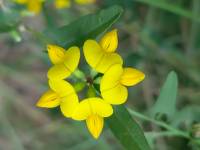 ��������Ӱ����ɽ������