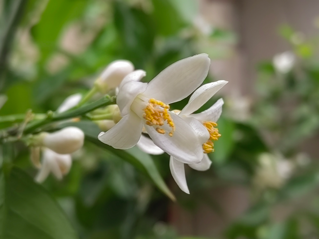 ������ʱ������