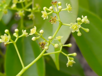 �Ҵ������������ϰ�ʮ��